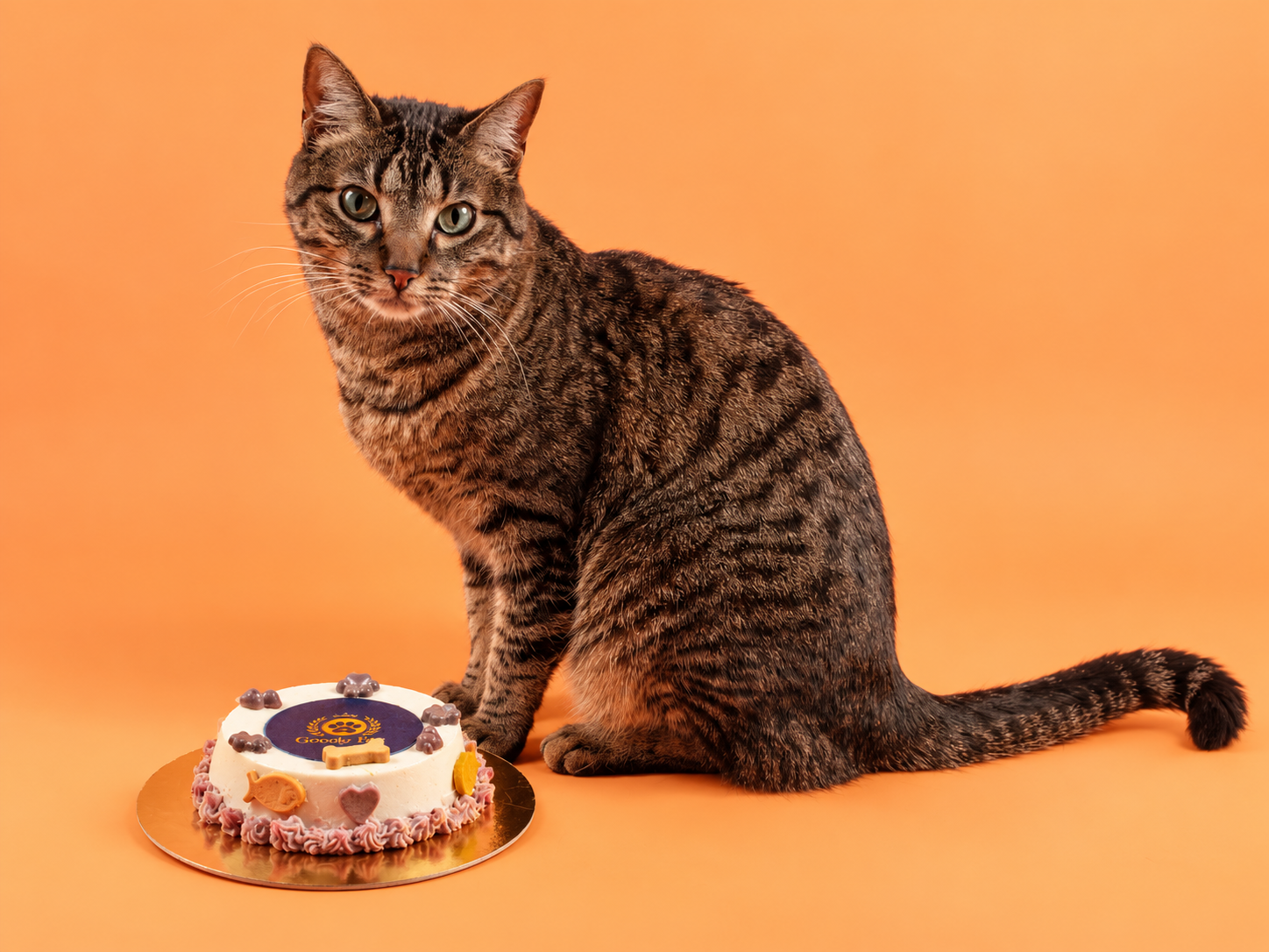 torta6-completo Torta Goody Pet para el cumpleaños de tu peludo