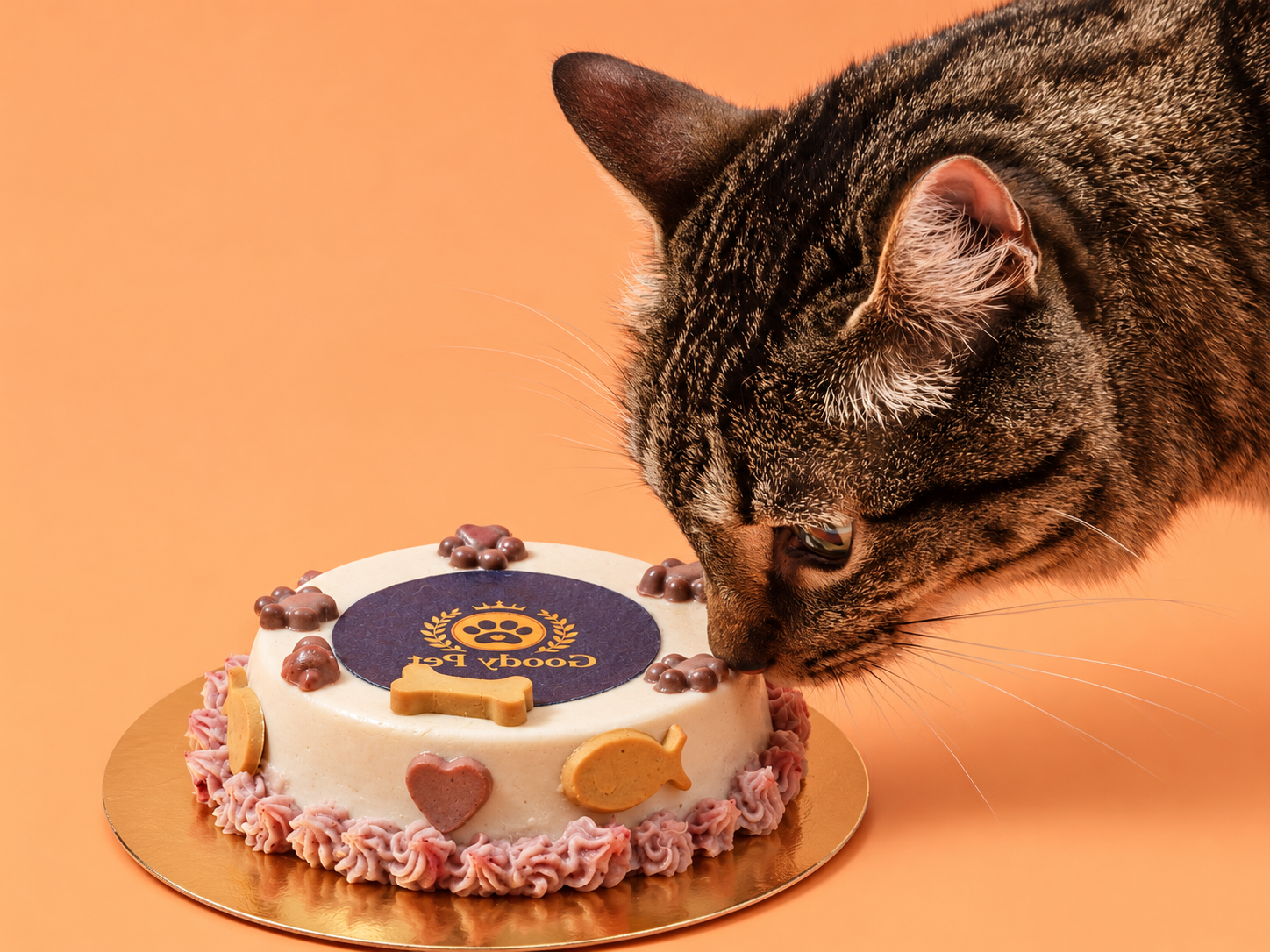 Antojos Goody Pet para gatos